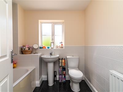 Picture 17